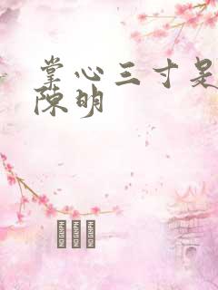 掌心三寸是人间陈明