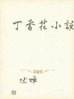 丁香花小说