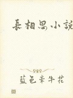 长相思小说原著