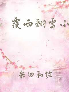 覆雨翻云小说