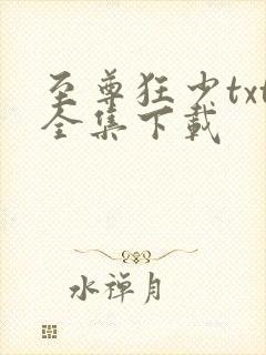 至尊狂少txt全集下载