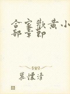 合家欢黄小梅全部章节