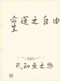 命运之自由的新生