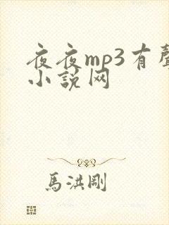 夜夜mp3有声小说网
