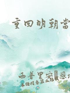 重回明朝当皇帝