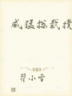 威猛总裁扑娇妻