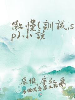 傲慢(训诫,sp)小说