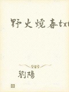 野火烧春txt