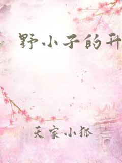 野小子的升官路