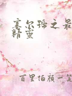 赛尔号之最强小精灵