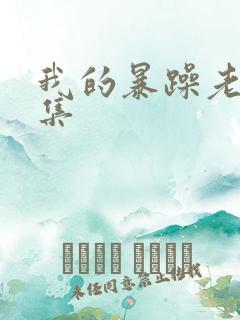 我的暴躁老妈全集