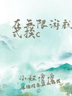 在无限游戏里花式挨c