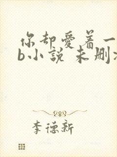 你却爱着一个sb小说 未删减完整版百度云