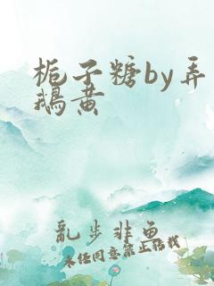 栀子糖by弄白鹅黄