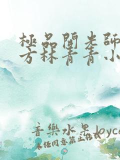 极品开光师李南方林青青小说免费阅读