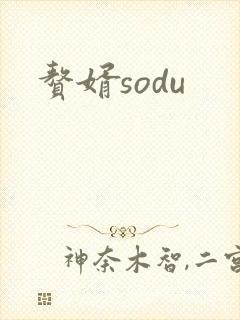 赘婿sodu
