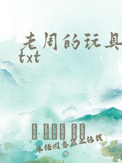 老周的玩具日记txt