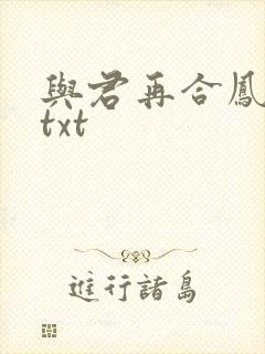 与君再合凤求凰txt