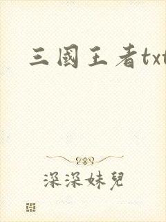 三国王者txt