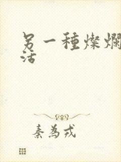 另一种灿烂的生活