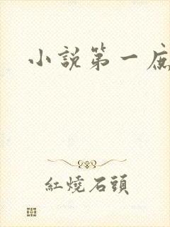 小说第一庶女