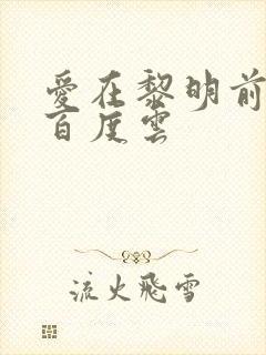 爱在黎明前降落百度云