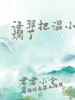 洛羿把温小辉做烂了