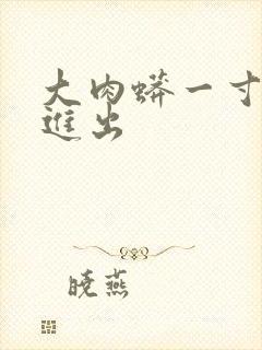 大肉蟒一寸一寸进出