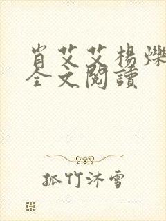 肖艾艾杨烁小说全文阅读