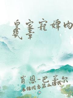 皇家宠婢肉在第几章