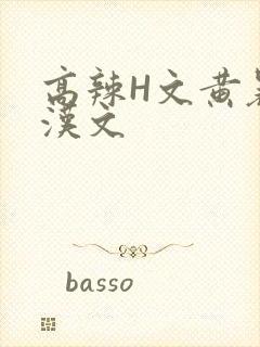 高辣H文黄暴糙汉文