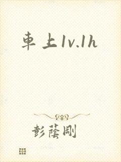 车上1v.1h