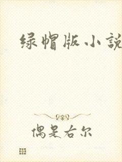 绿帽版小说