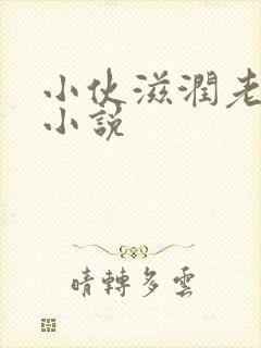 小伙滋润老女人小说