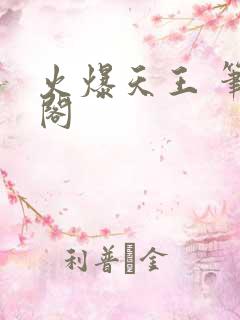 火爆天王 笔趣阁