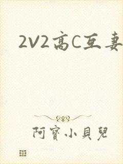 2V2高C互妻