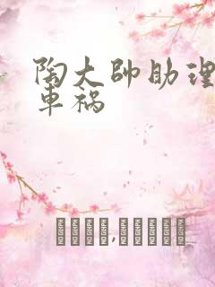 陶大帅助理子豪车祸