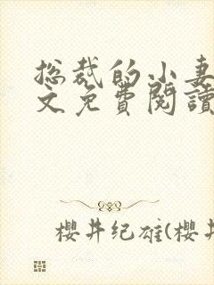 总裁的小妻子全文免费阅读