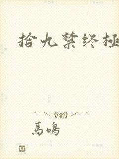 拾九禁终极直播