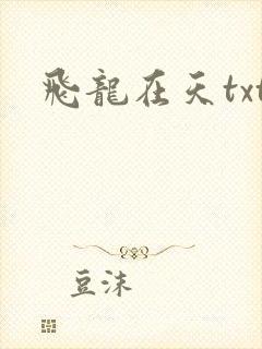 飞龙在天txt