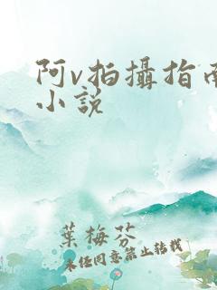 阿v拍摄指南说小说