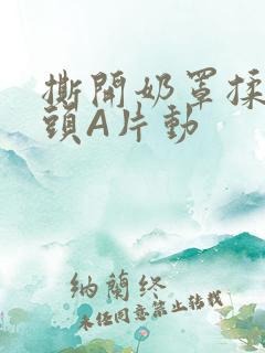 撕开奶罩揉吮奶头A片动