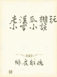 老汉瓜棚玩小丹小雪小说