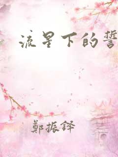 流星下的誓言