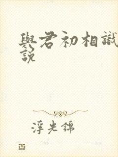 与君初相识 小说