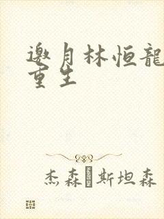 邀月林恒龙凤胎重生