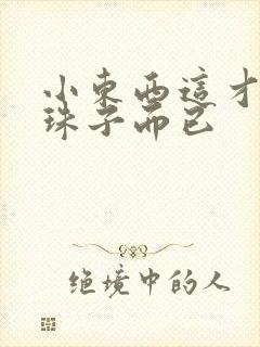 小东西这才一颗珠子而已