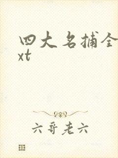 四大名捕全集txt