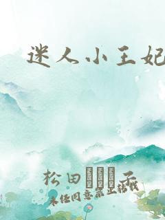 迷人小王妃