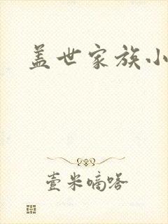 盖世家族小说